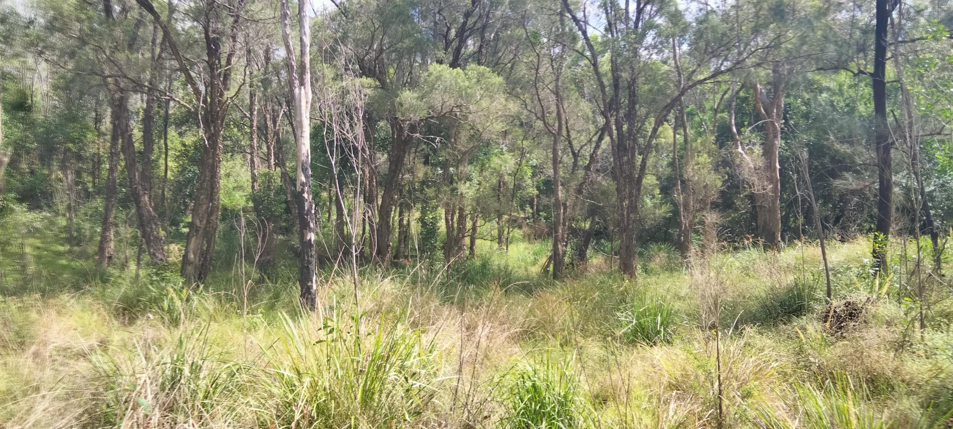 Additional image 11 of 3359 Lowmead Road, Lowmead QLD 4676