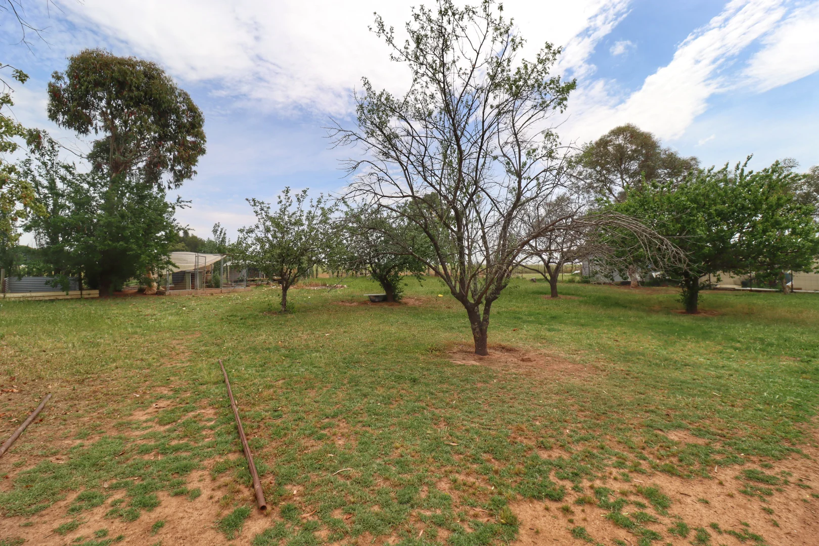 Additional image 10 of 54 Dawson Drive, Cowra NSW 2794