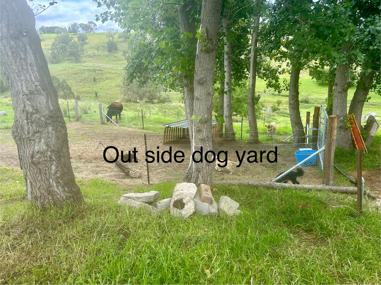 Additional image 7 of 176 Daisy Hill Road, Buckajo NSW 2550