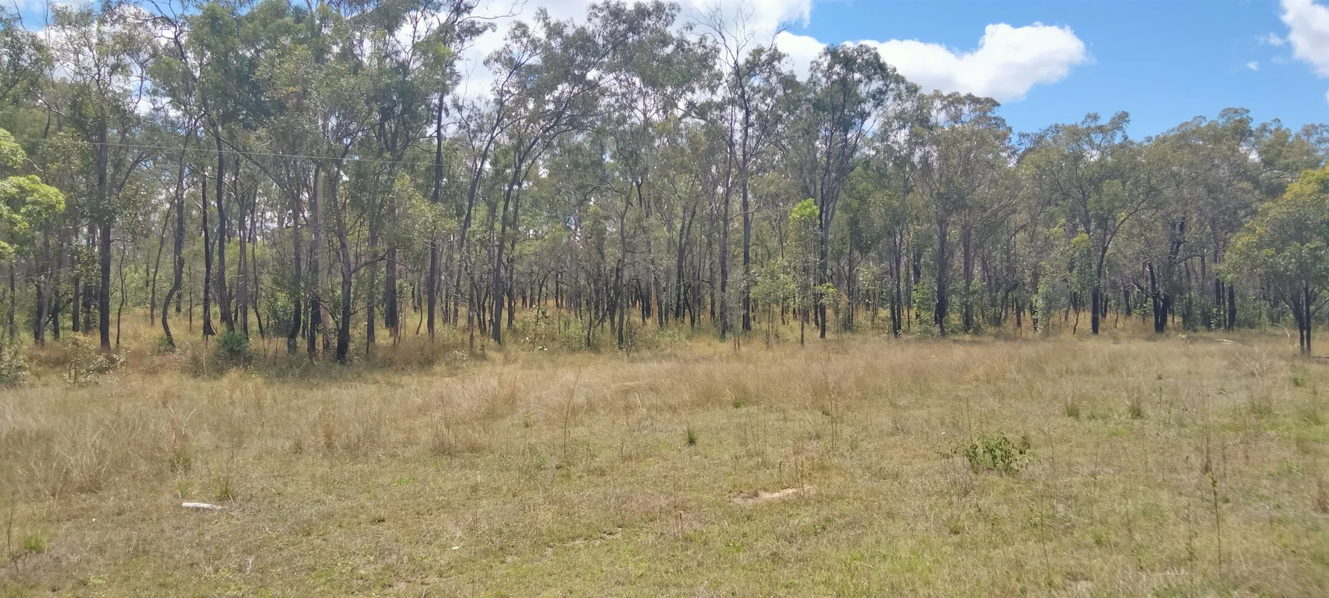 Additional image 47 of 3359 Lowmead Road, Lowmead QLD 4676