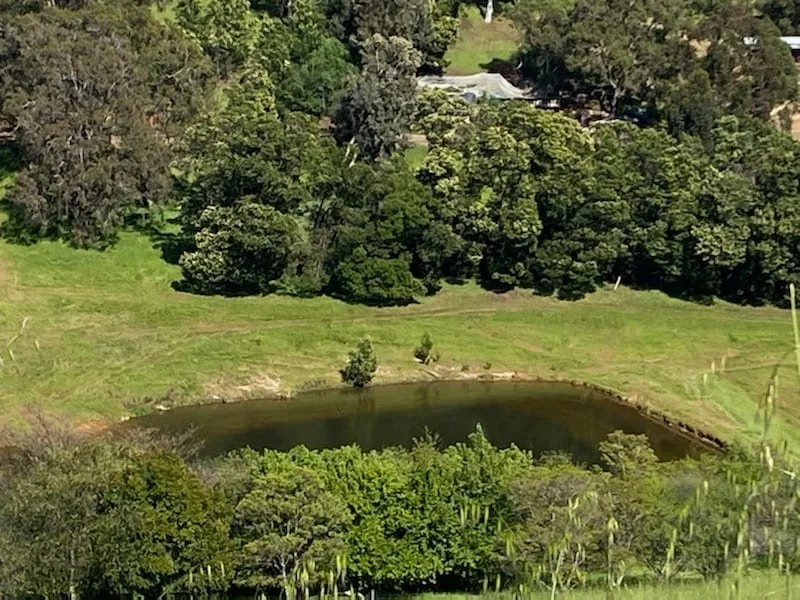 Additional image 14 of Lot 8 Catalano Road, Burekup WA 6227