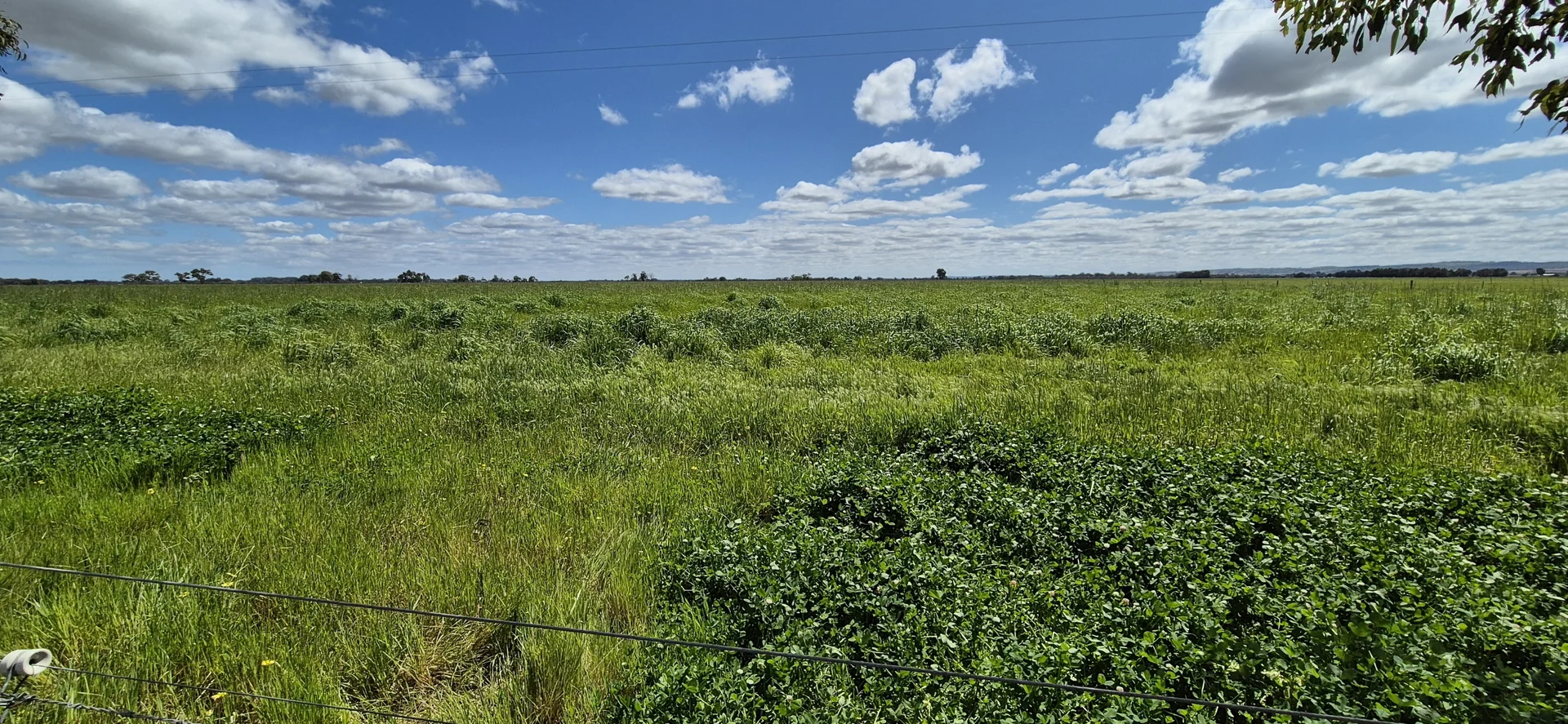 Additional image 5 of 4 Pin Pin Road, Beermullah WA 6503