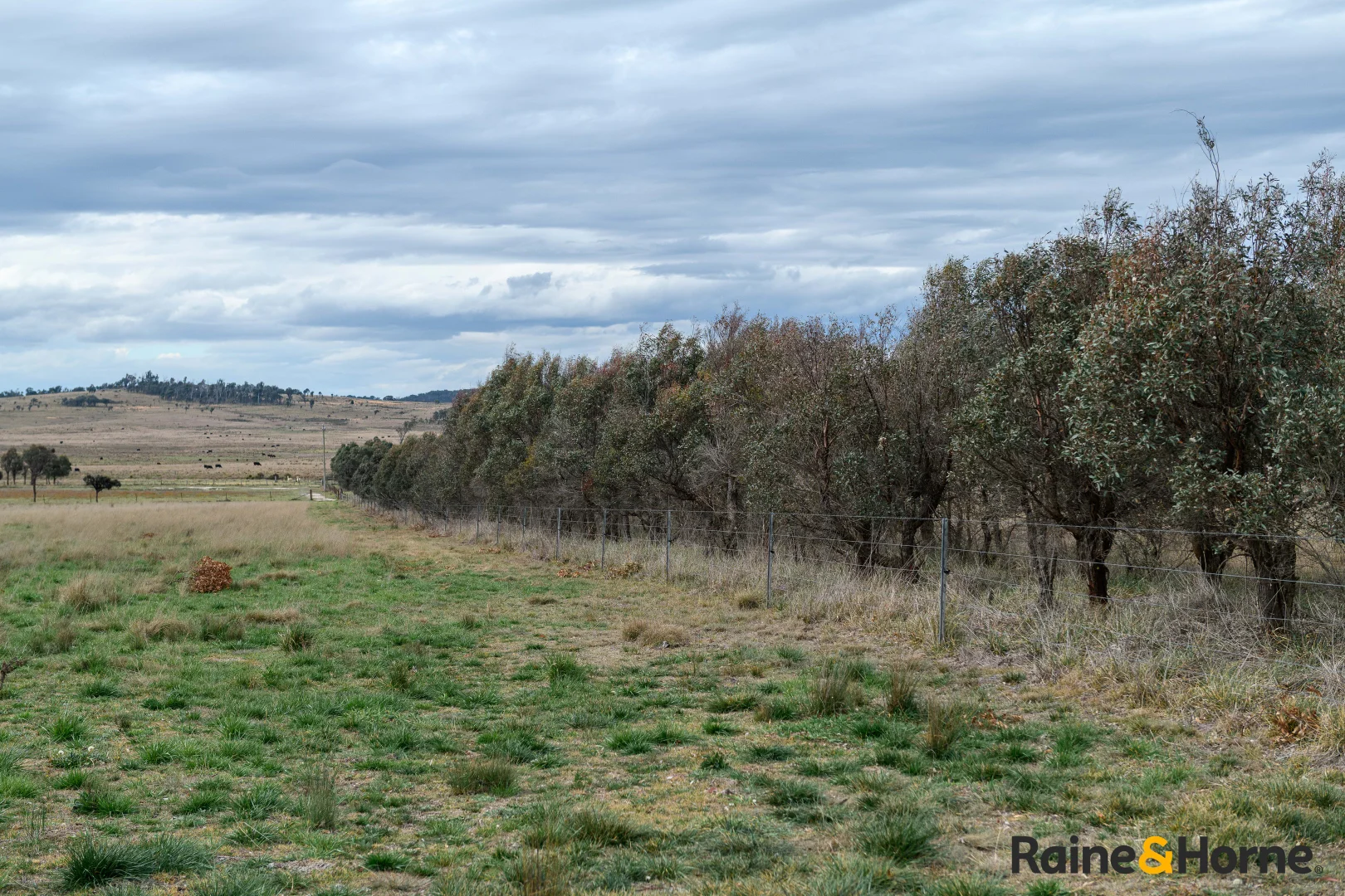 Additional image 38 of Lot 122 Nine Mile Road, Glen Innes NSW 2370