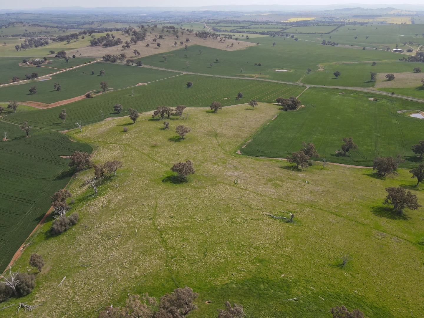 Additional image 13 of Woodstock NSW 2793