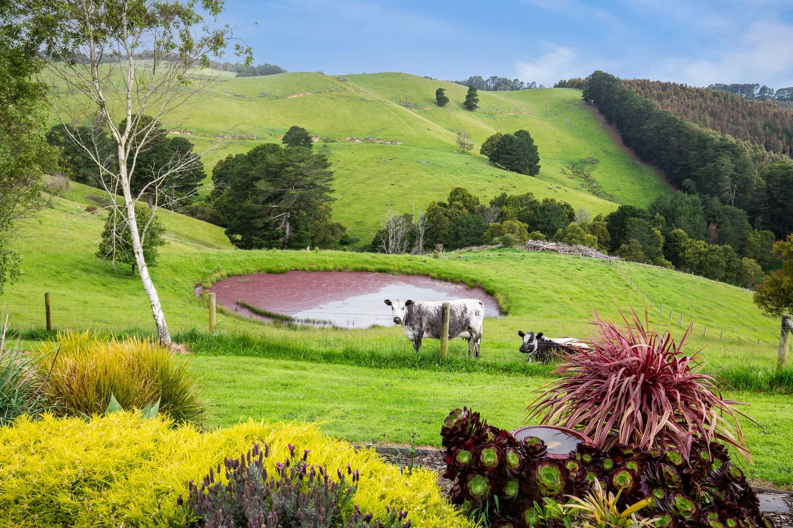 Additional image 33 of 3100 South Gippsland Highway, Foster North VIC 3960