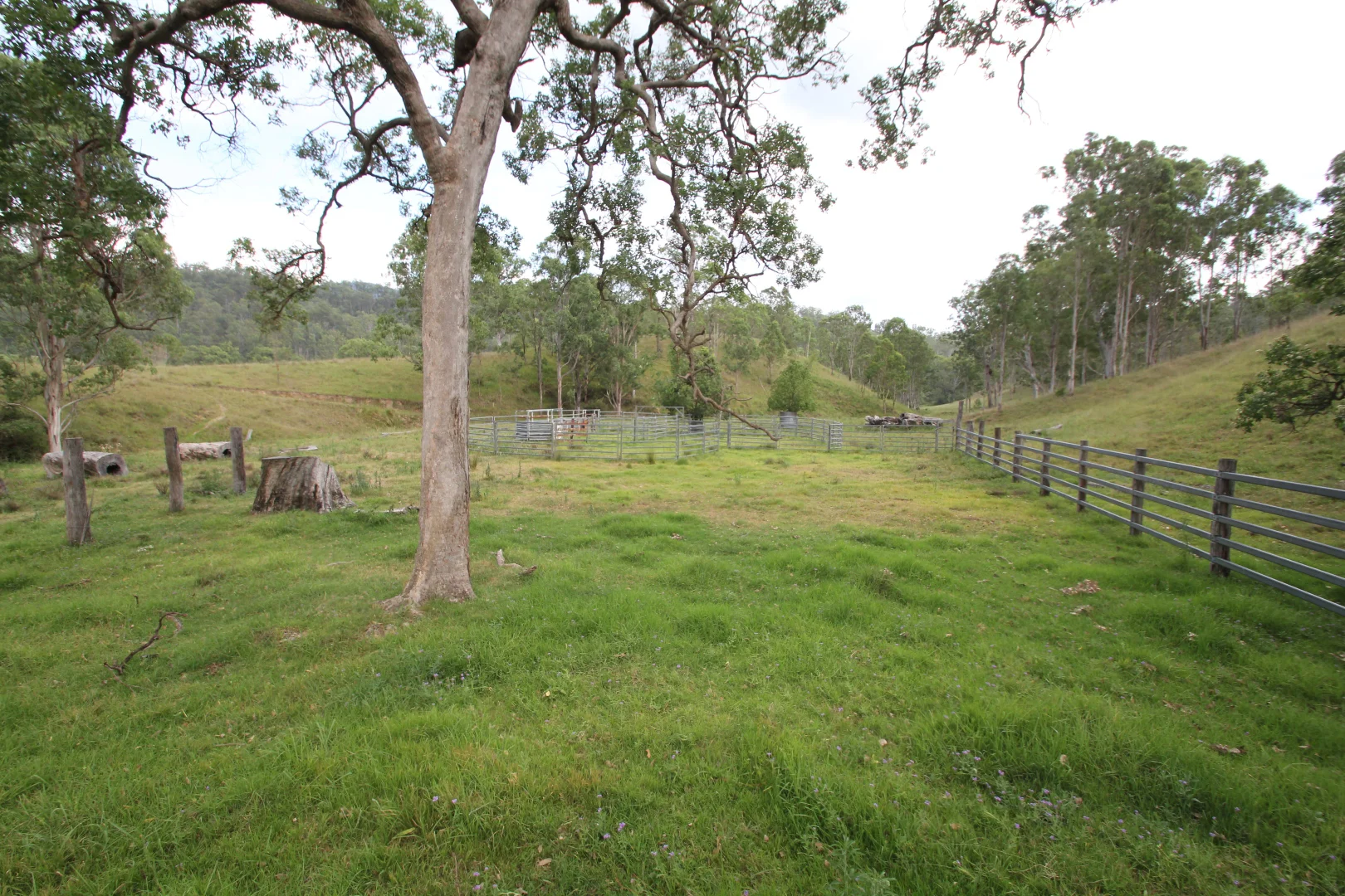 Additional image 7 of 1272 Rocky River Road, Tenterfield NSW 2372