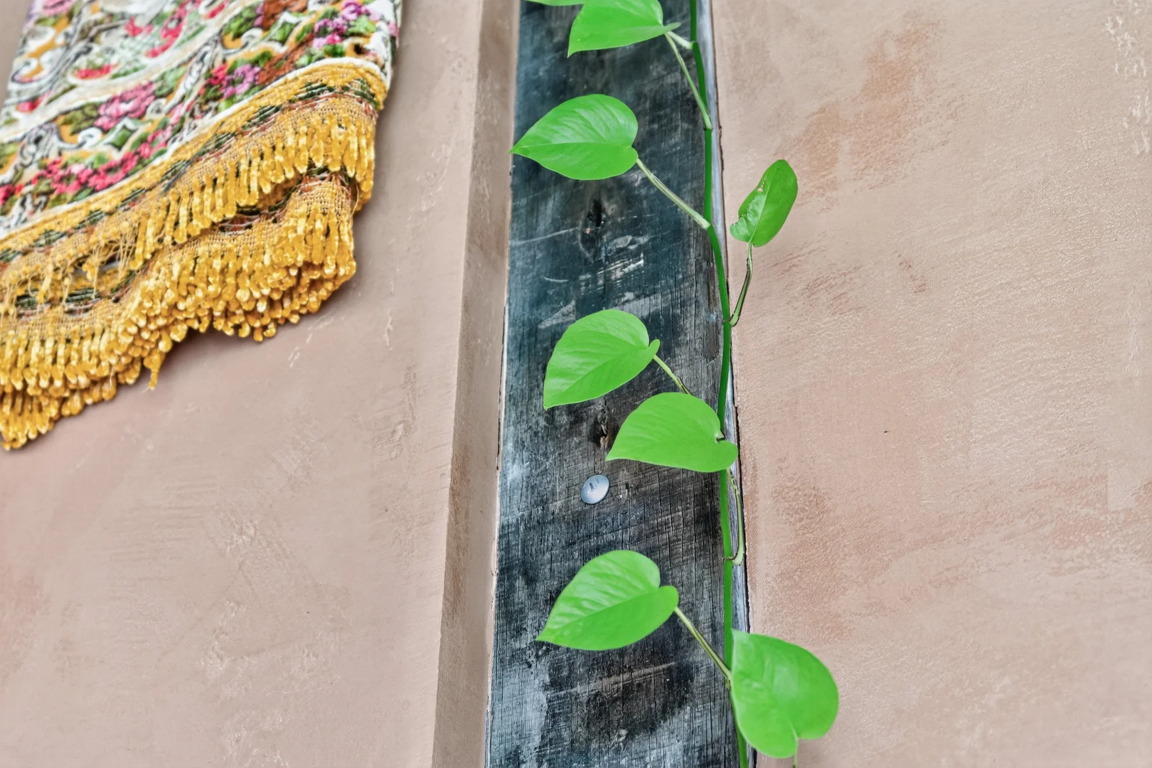 Additional image 63 of 8178 Main South Road, Delamere SA 5204