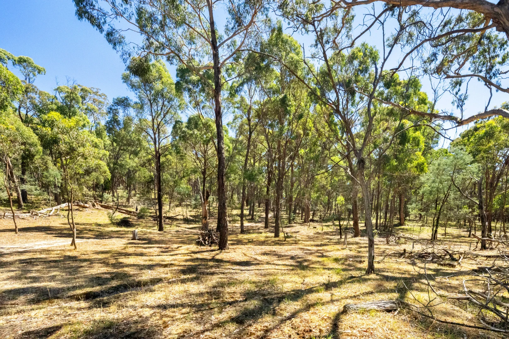 Additional image 10 of CA50 King Charlie Lane, Raglan VIC 3373