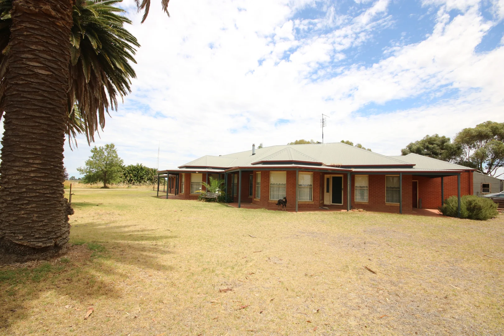 Additional image 10 of 614 Nullabooma Road, Wakool NSW 2710