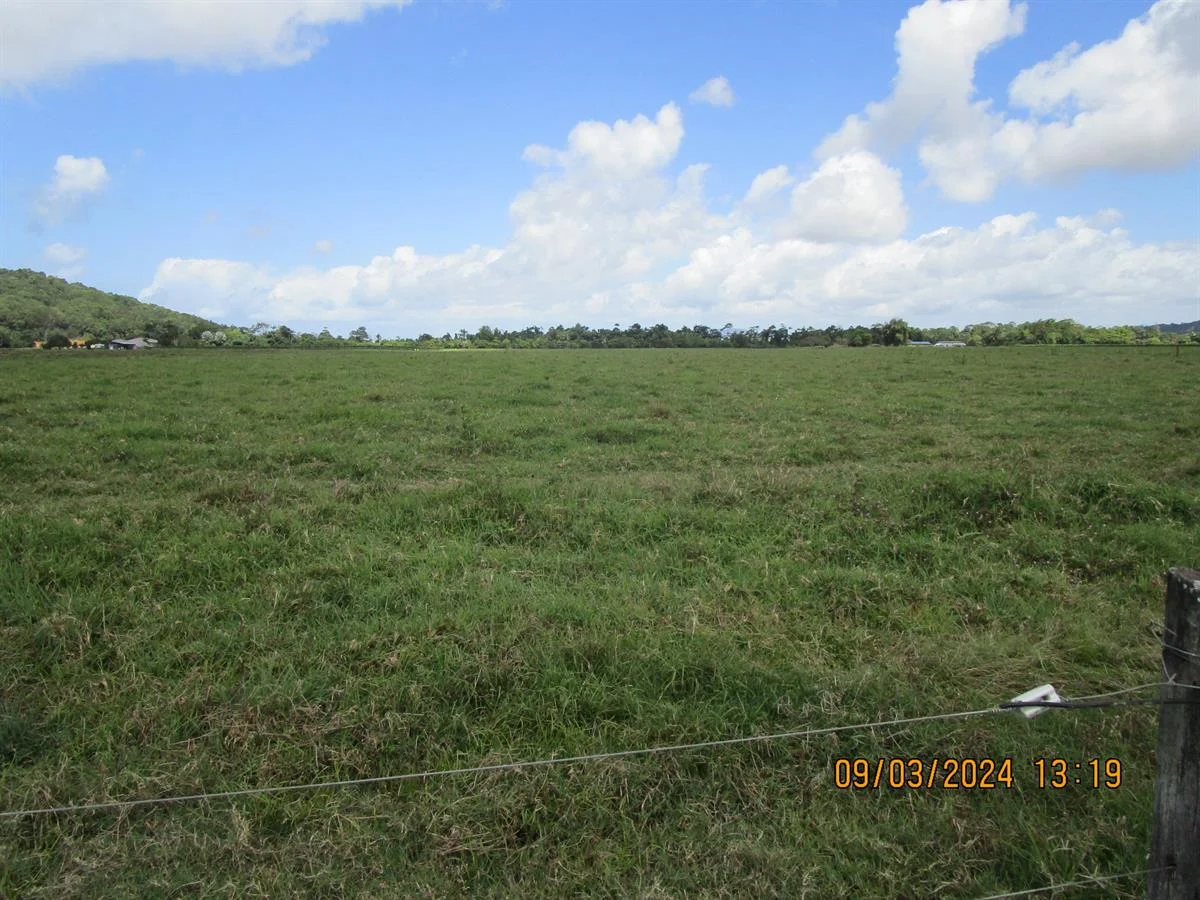 Additional image 10 of 000 Gangemi Road, Cowley QLD 4871