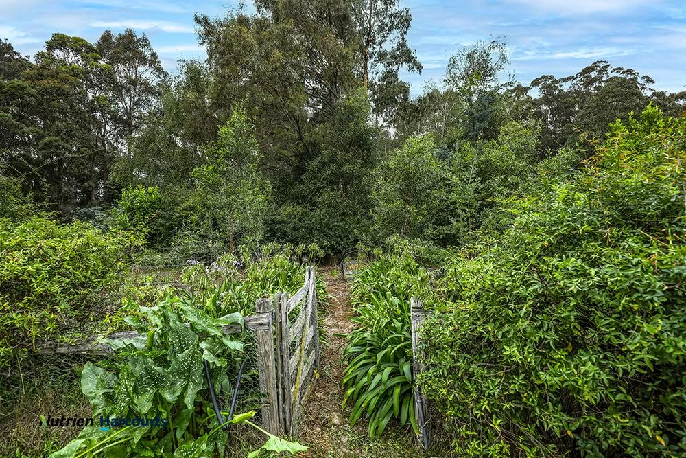 Additional image 30 of 506 Sawyers Ridge Road, Reidsdale NSW 2622