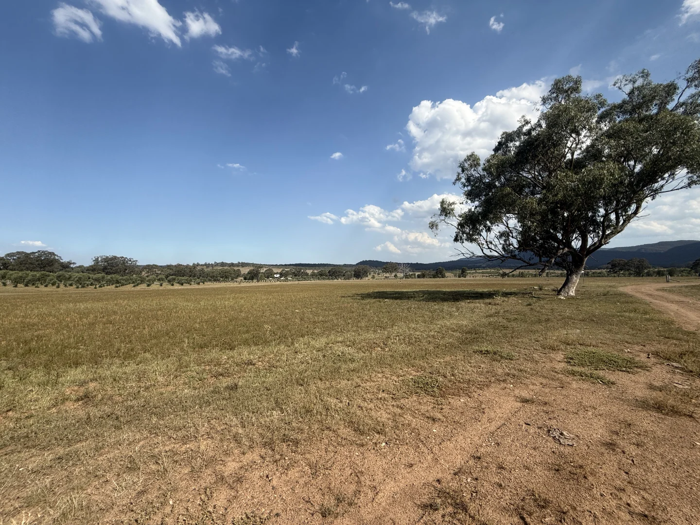 Additional image 51 of 207 Redmanvale Road, Jerrys Plains NSW 2330