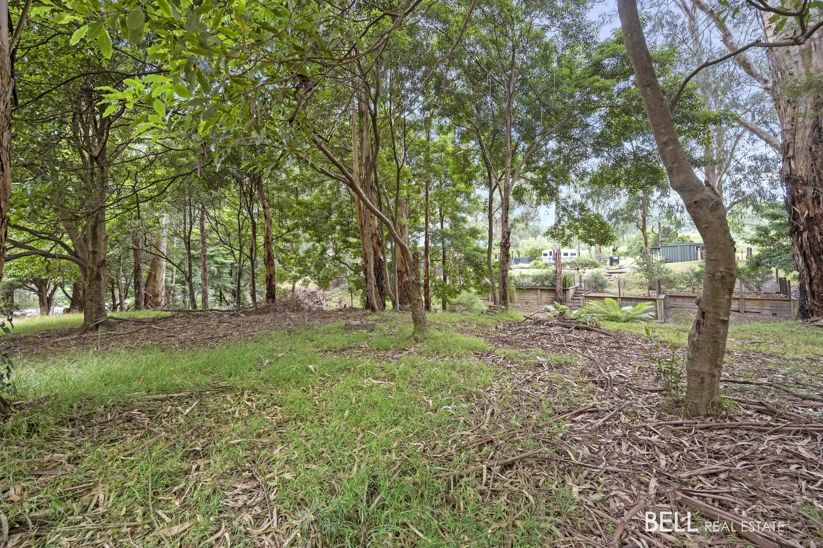 Additional image 6 of 3 River Road, Millgrove VIC 3799