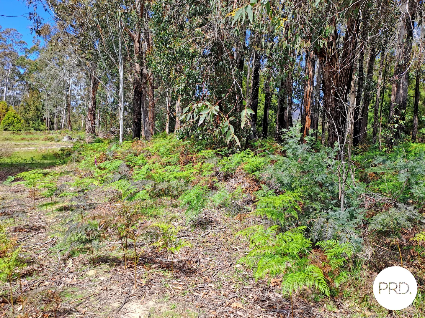 Additional image 12 of Lot 1 Ellendale Road, Ellendale TAS 7140