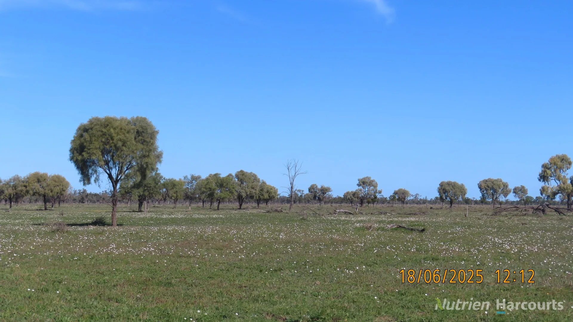 Additional image 2 of * Springvale, Walgett NSW 2832