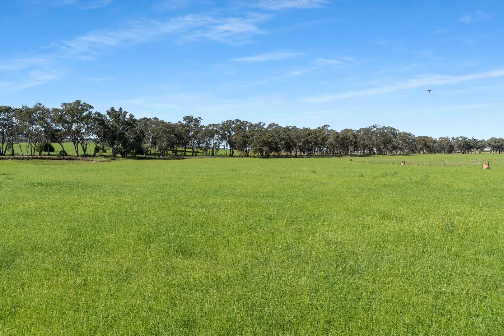 Additional image 22 of 338 Baldry Road, Cumnock via, Molong NSW 2866