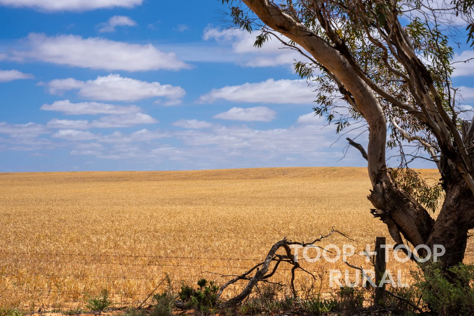 2167 Bakara Road, Galga SA 5308