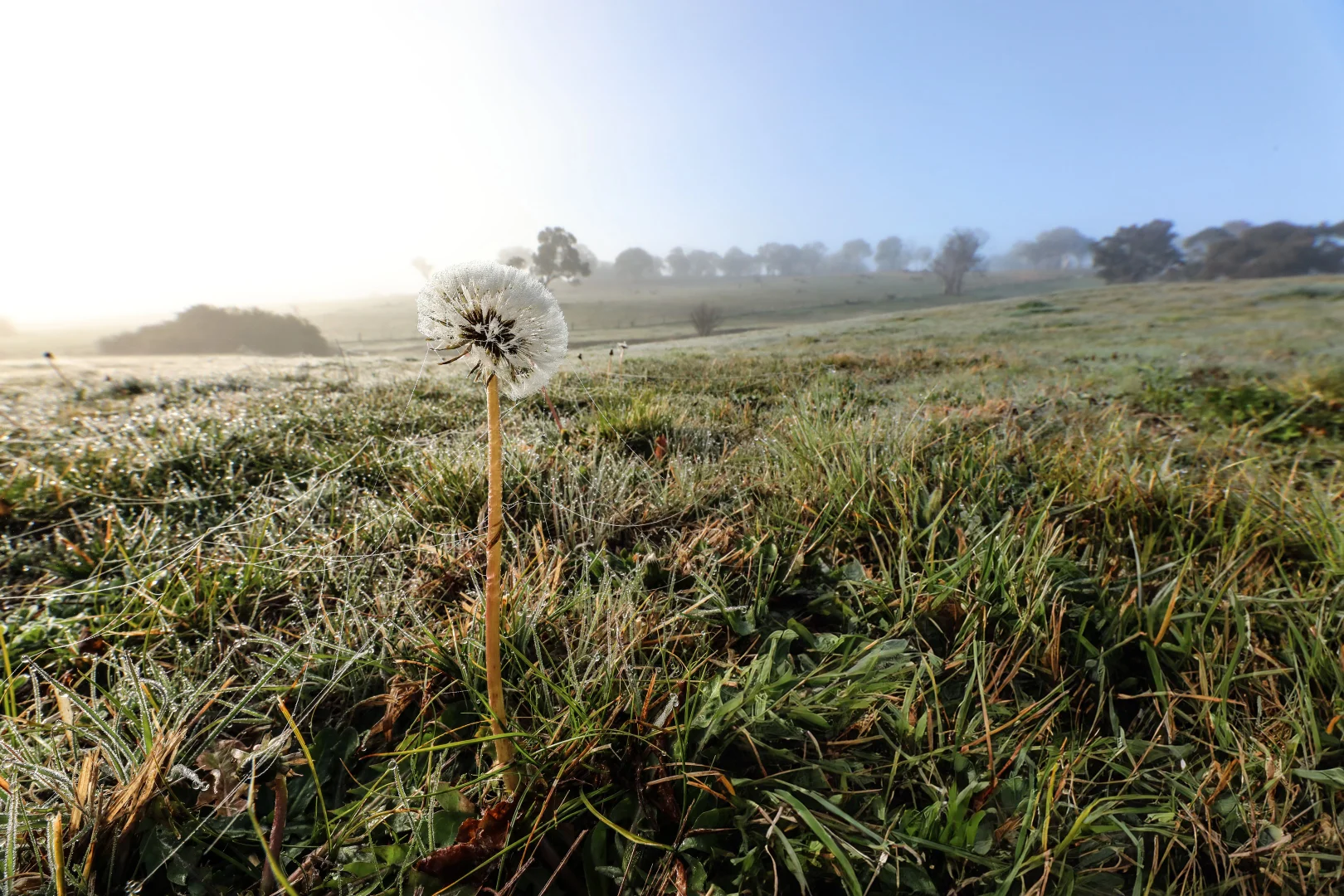 Additional image 14 of 102 Market Street, Rockley NSW 2795