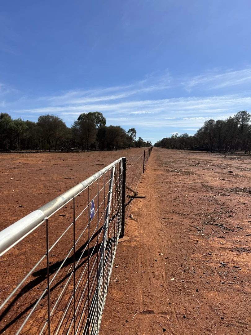 Additional image 5 of 1 Ben Lomond Road, Gunderbooka NSW 2840
