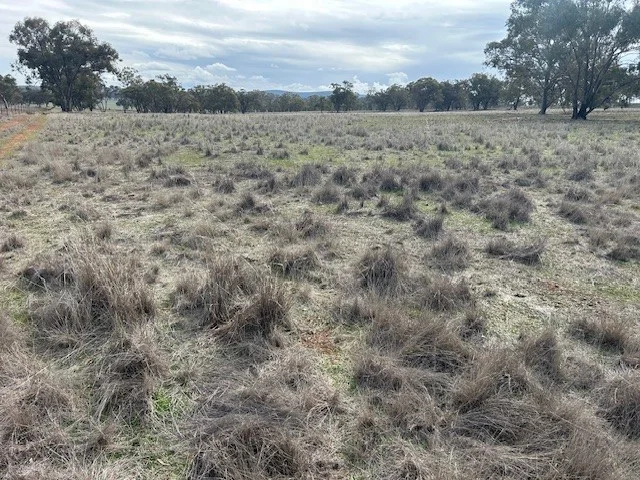 Additional image 14 of 418 Donaldsons Road, Corbie Hill NSW 2705