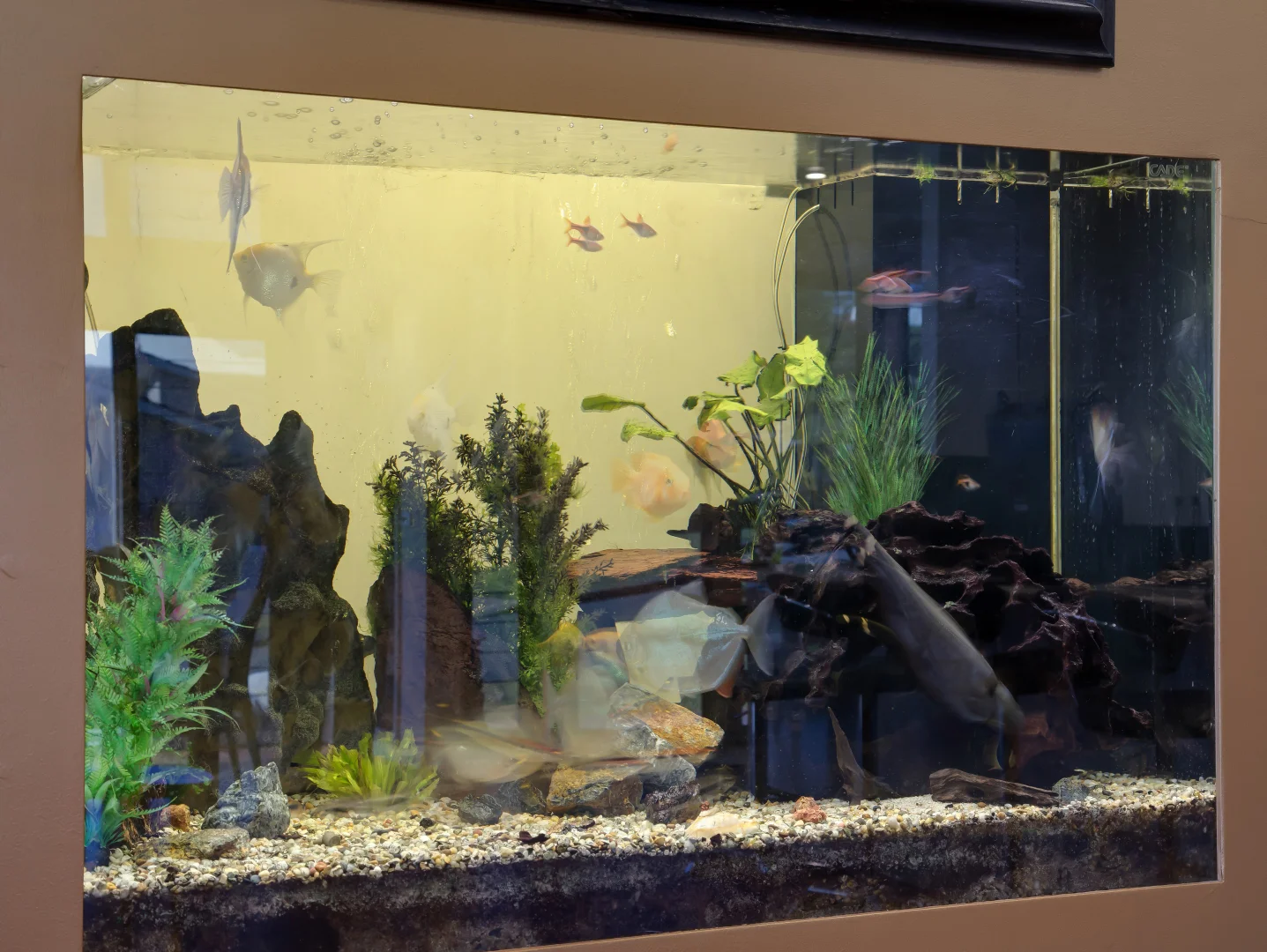 Additional image 16 of 49 Tuross Boulevard, Tuross Head NSW 2537