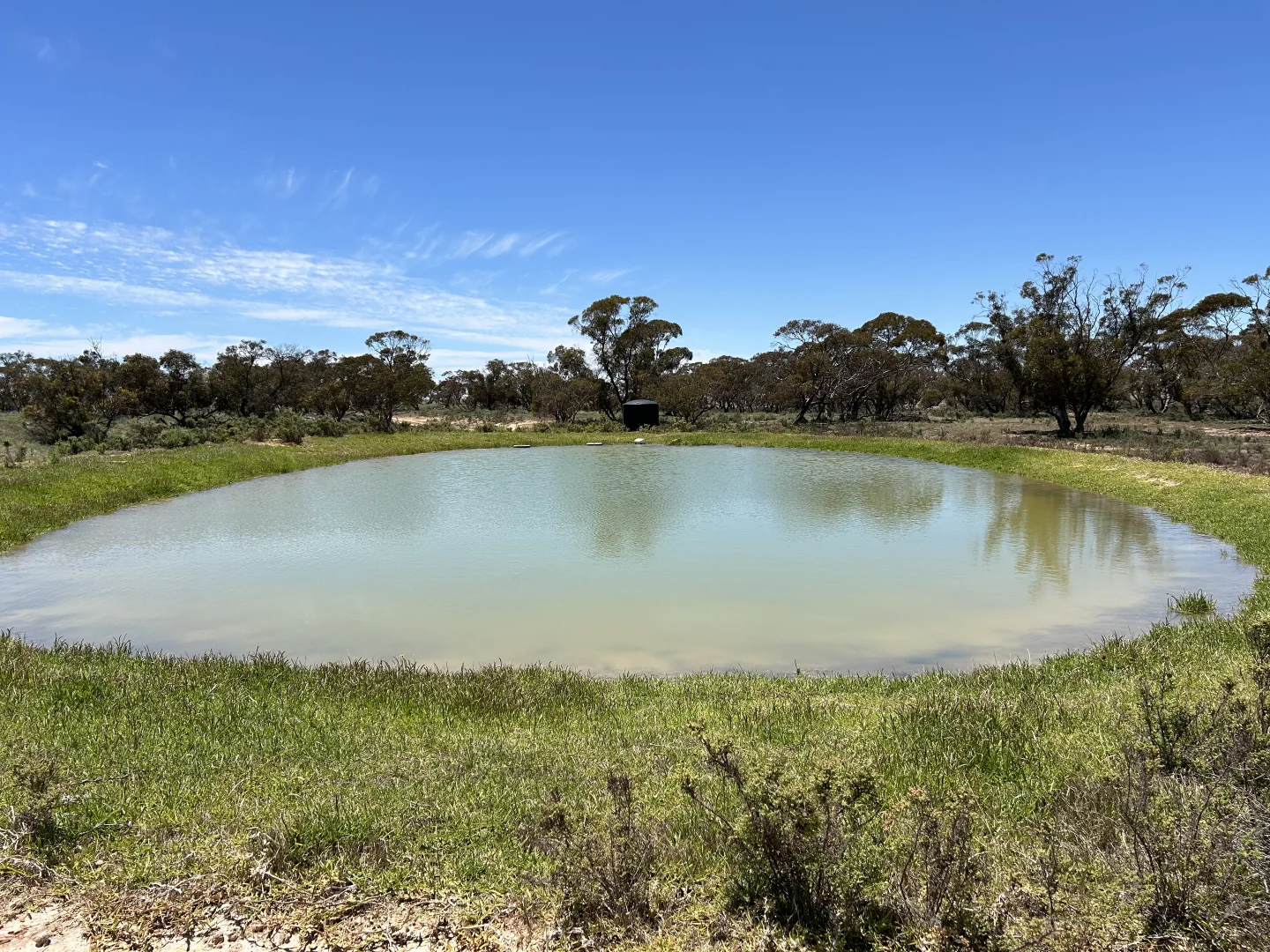 Additional image 4 of 8689 Browns Well Highway, Pinnaroo SA 5304