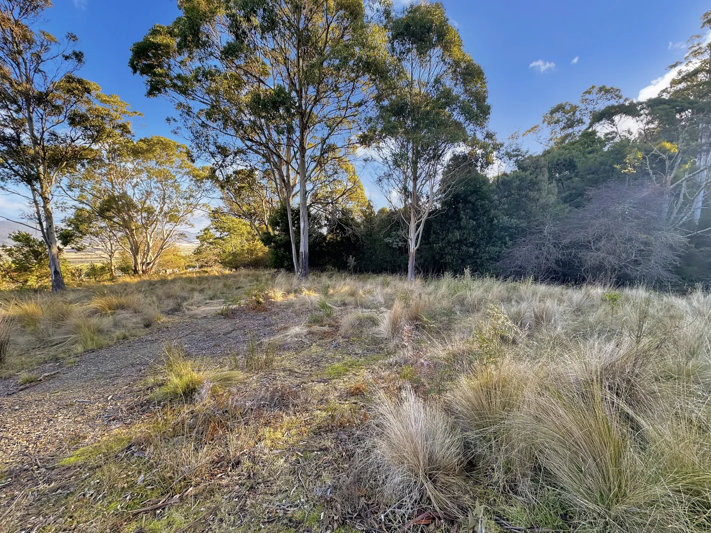 Additional image 6 of 14 Crosby Street, Cornwall TAS 7215