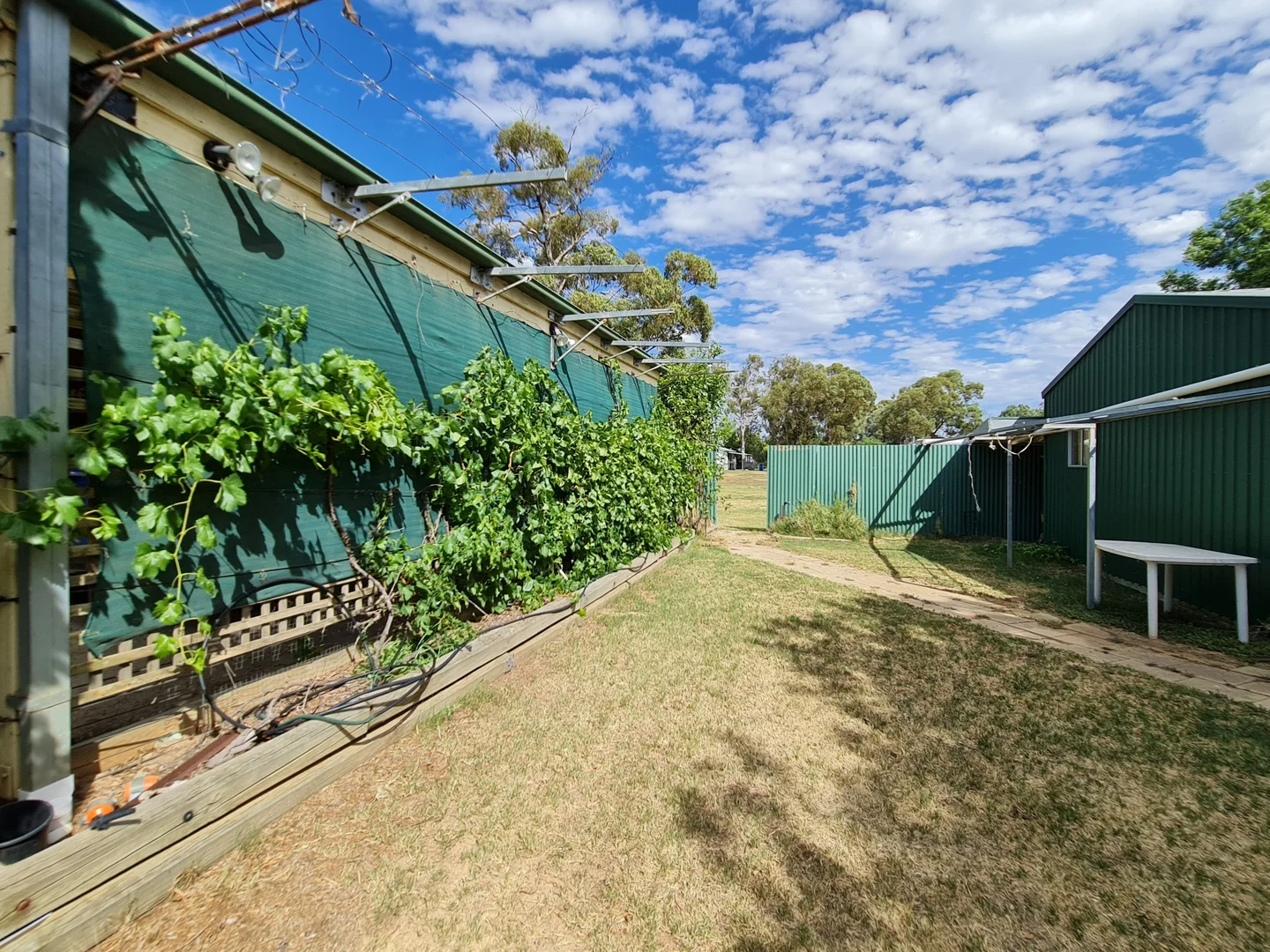 Additional image 34 of 20 William Street, Berrigan NSW 2712