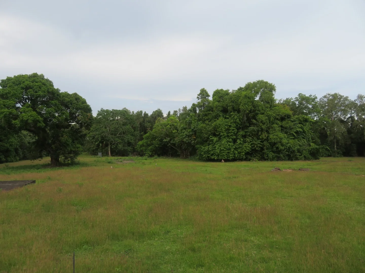 Additional image 18 of 364 Coquette Point Road, Coquette Point QLD 4860