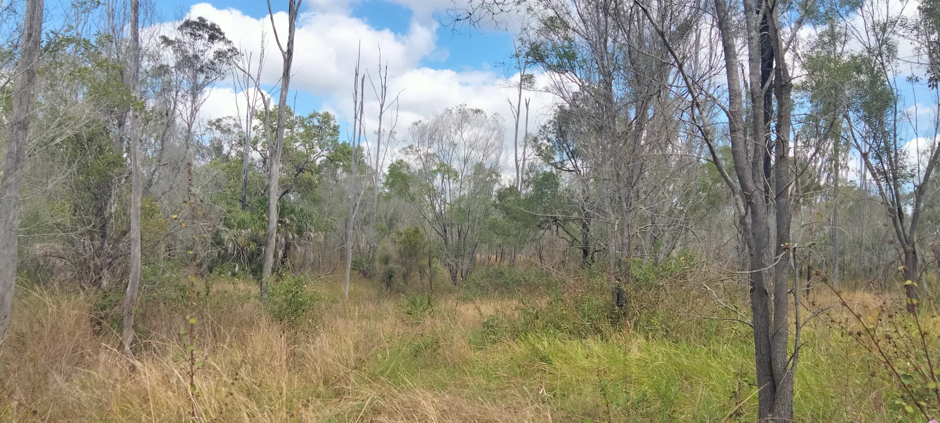 Additional image 30 of 3359 Lowmead Road, Lowmead QLD 4676