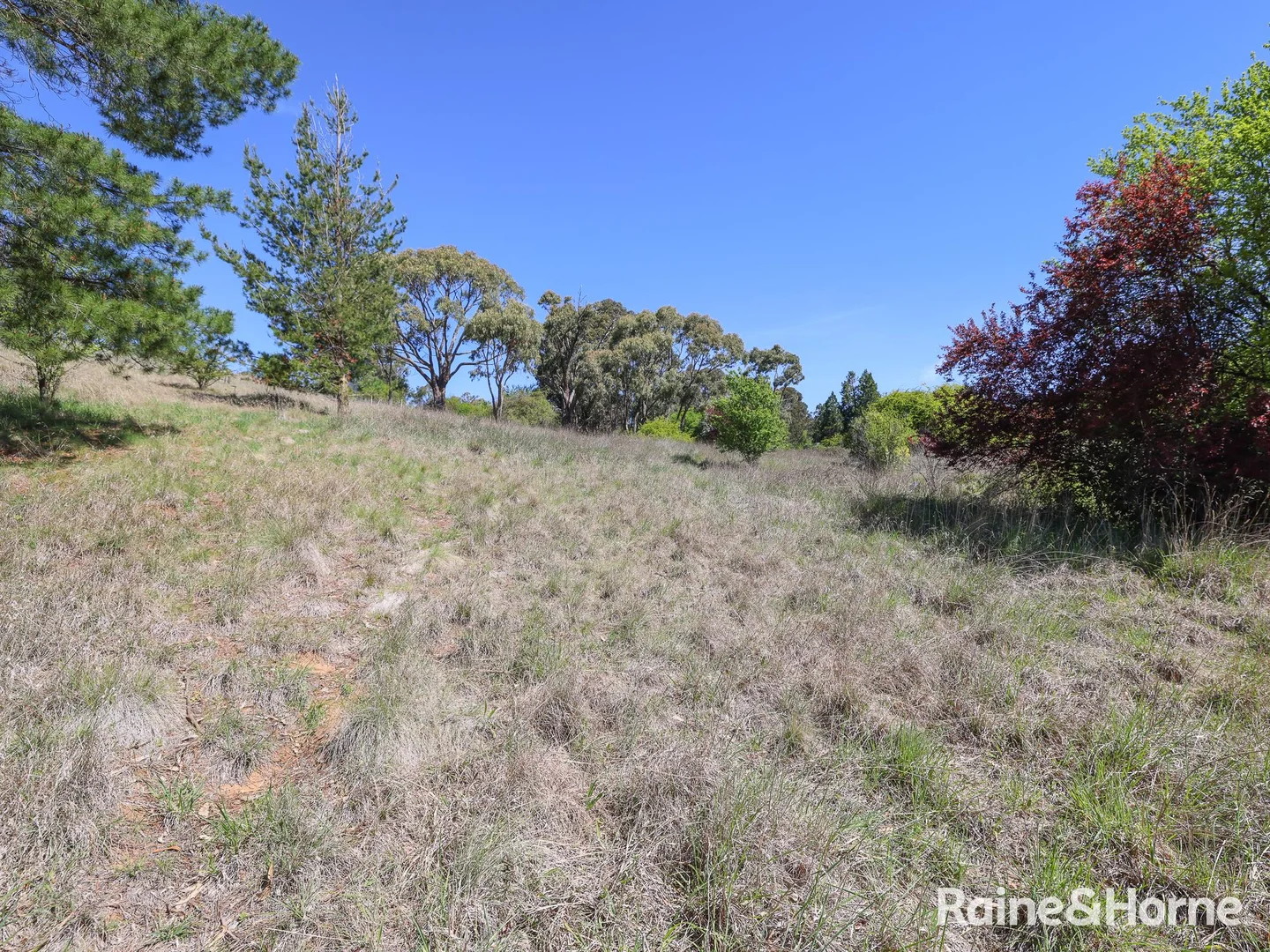 Additional image 5 of 1 Naylor Street, Carcoar NSW 2791