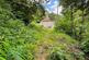 Additional image 12 of Apse Manor Road, Shanklin, Isle of Wight