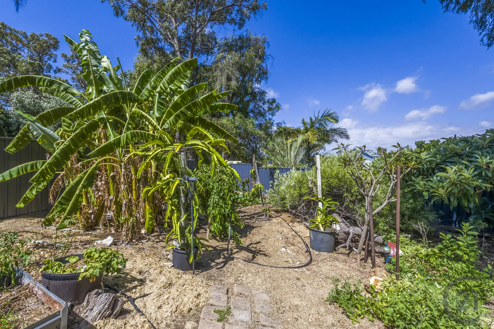 Additional image 33 of 80 Estuary View Road, Dawesville WA 6211