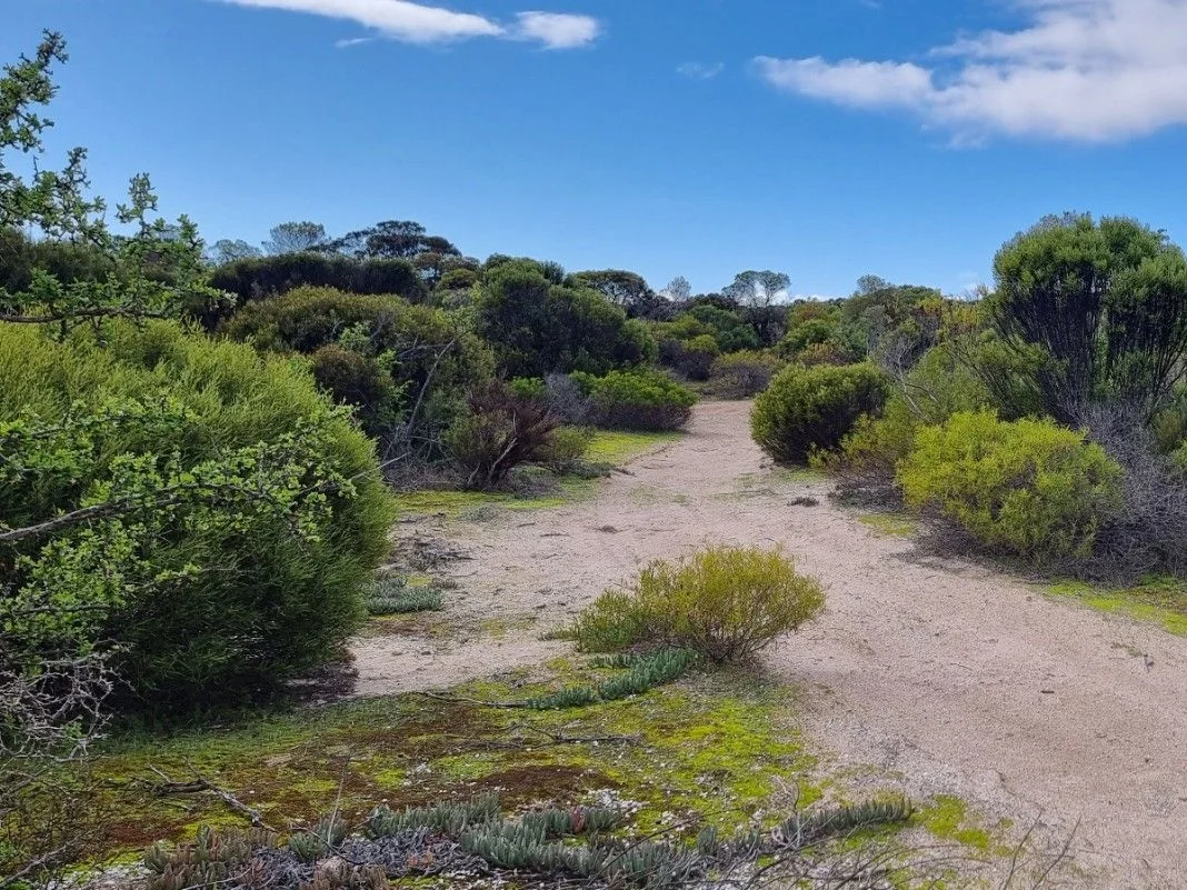 Additional image 20 of Parsons Beach SA 5575