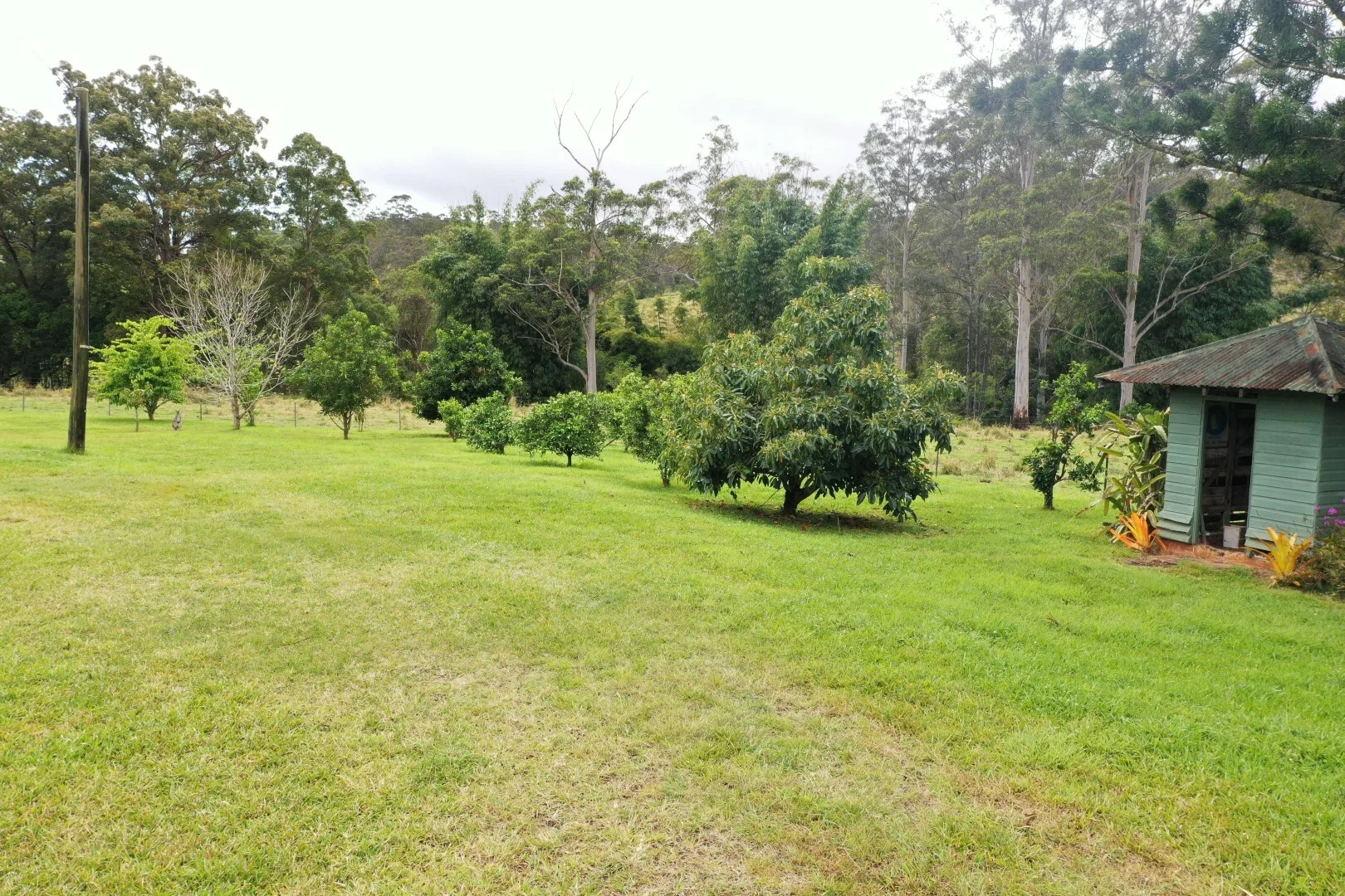 Additional image 33 of 66 Old Tweed Road, Wadeville NSW 2474