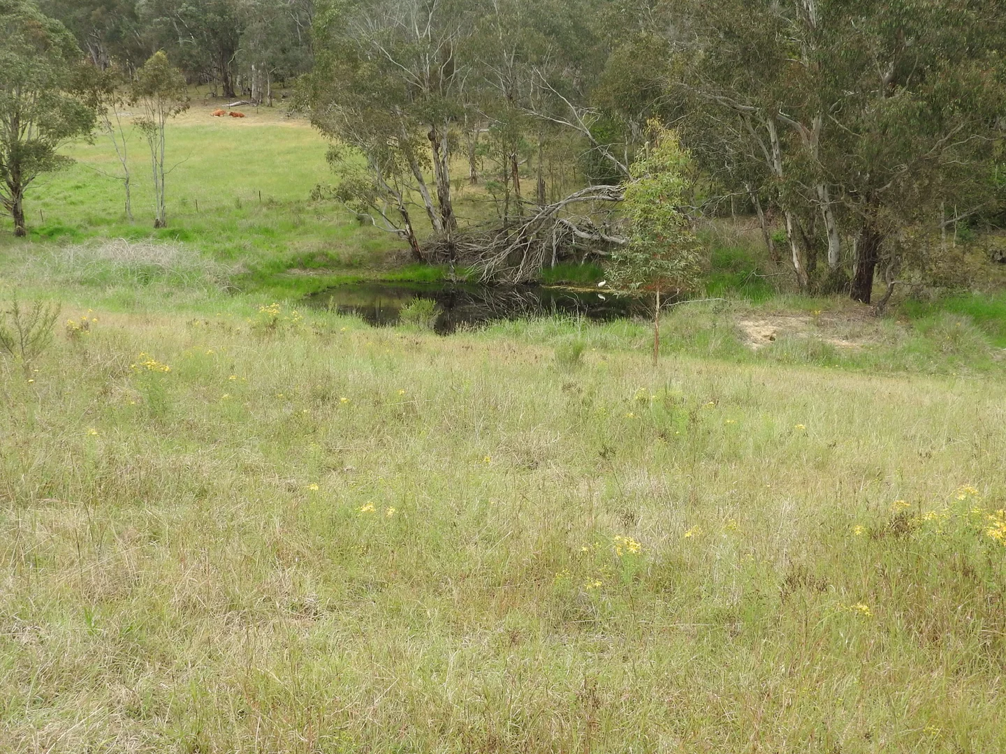 Additional image 7 of 158 Sunny Corner Road, Portland NSW 2847