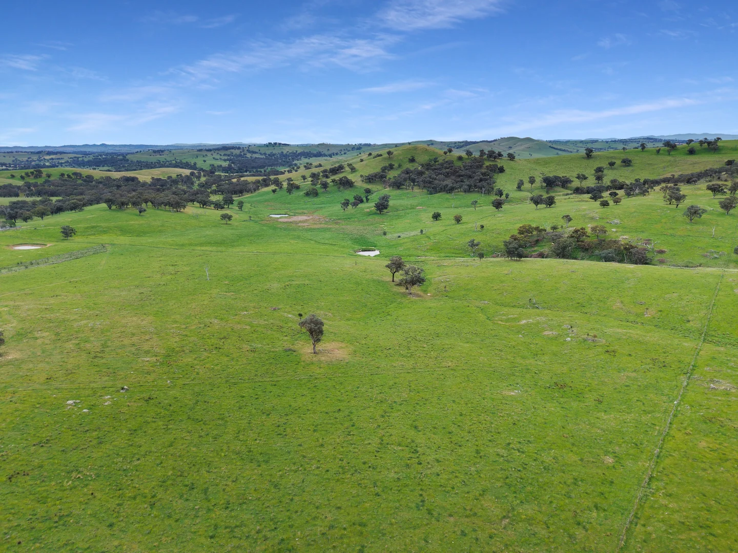 Additional image 35 of 'horse Gully' Old Waugoola Road, Woodstock NSW 2793