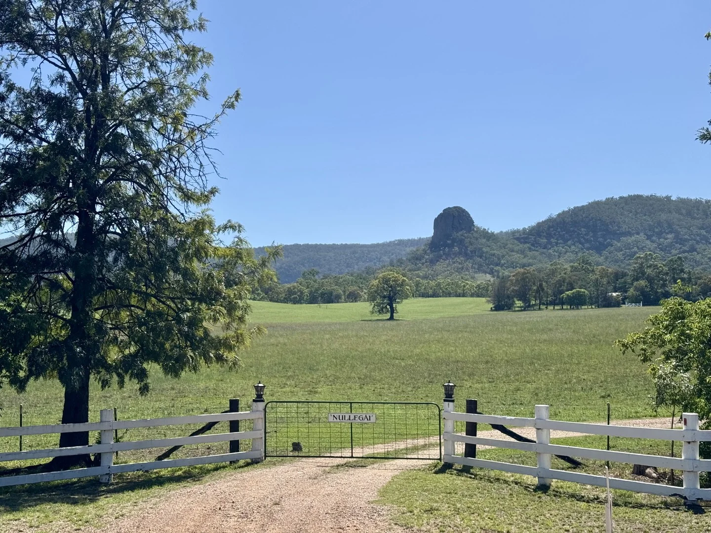 Additional image 2 of "Nullegai" 190 Thompson Creek Road, Scone NSW 2337