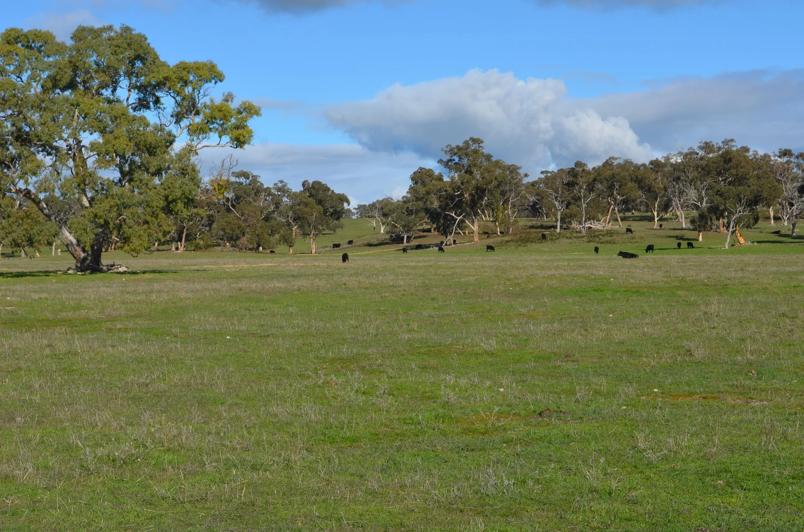 Additional image 7 of 555 Mail Bridge Road, Kingston Se SA 5275