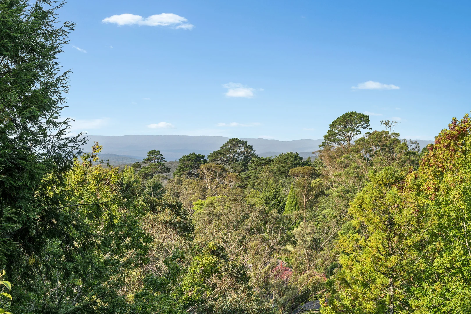 Additional image 22 of 15-17 Angel Street, Wentworth Falls NSW 2782