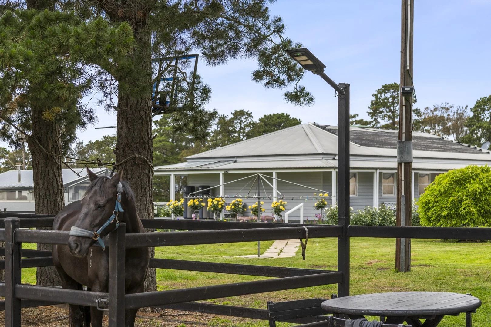 Additional image 9 of 2249 Midland Highway, Bannockburn VIC 3331