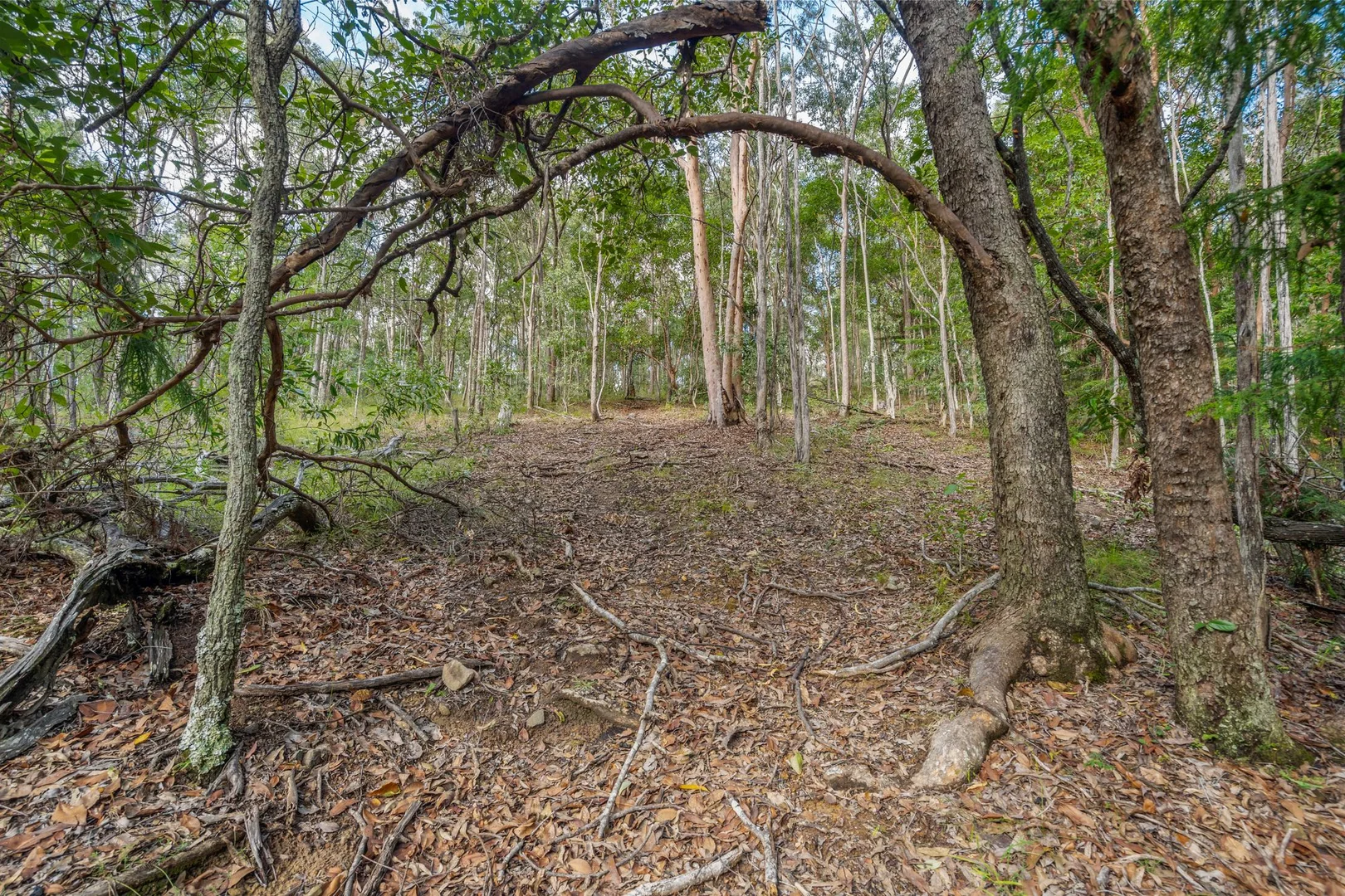 Additional image 25 of 169 Dunns Road, Wolffdene QLD 4207