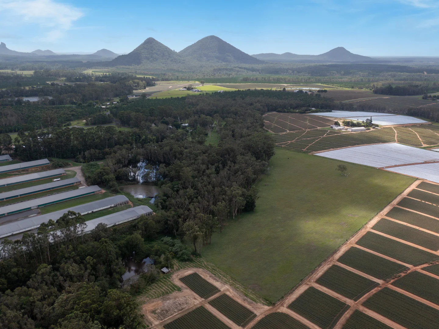 Additional image 26 of 13 Binowee Court, D'Aguilar QLD 4514