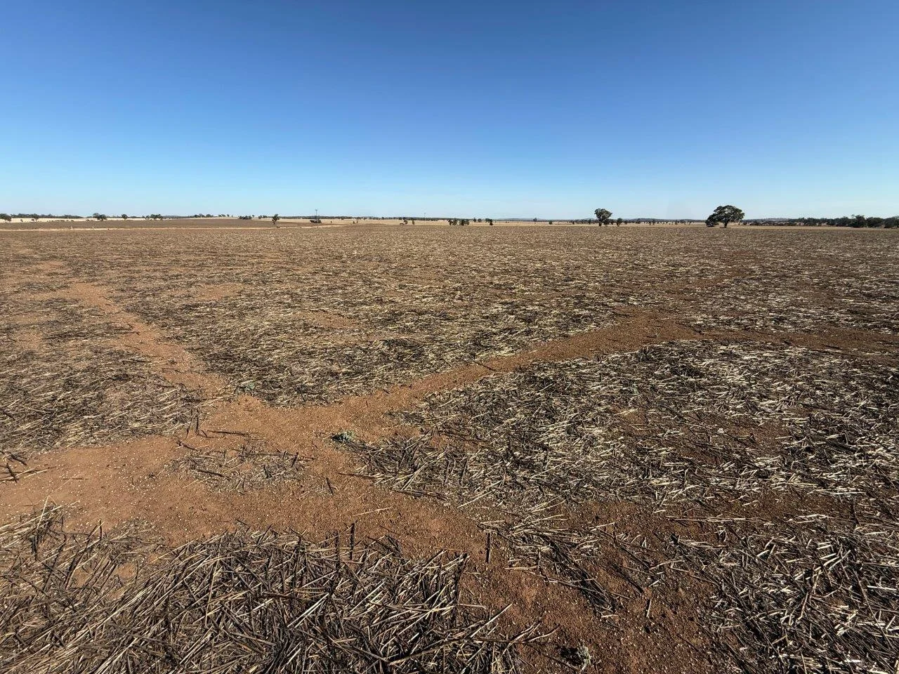 Additional image 10 of 'Craignish' 847 Mirrool South Road, Beckom NSW 2665