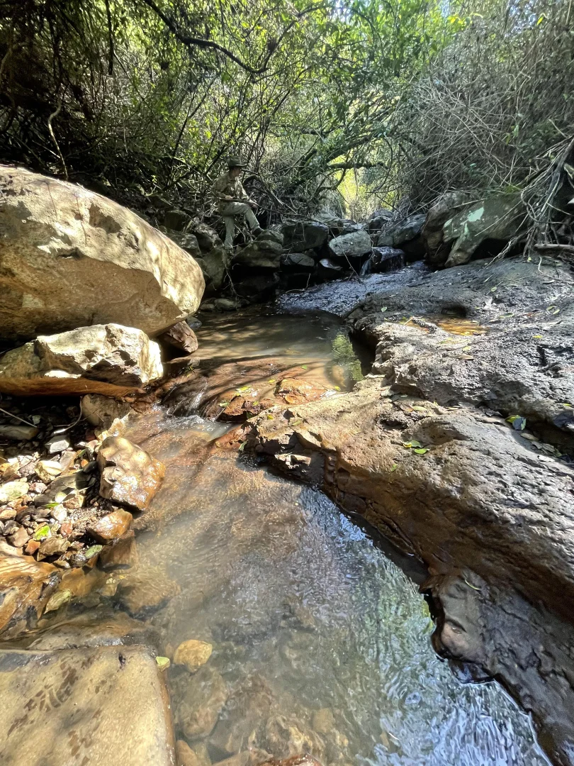 Additional image 18 of 76 Maso Road, Repentance Creek NSW 2480