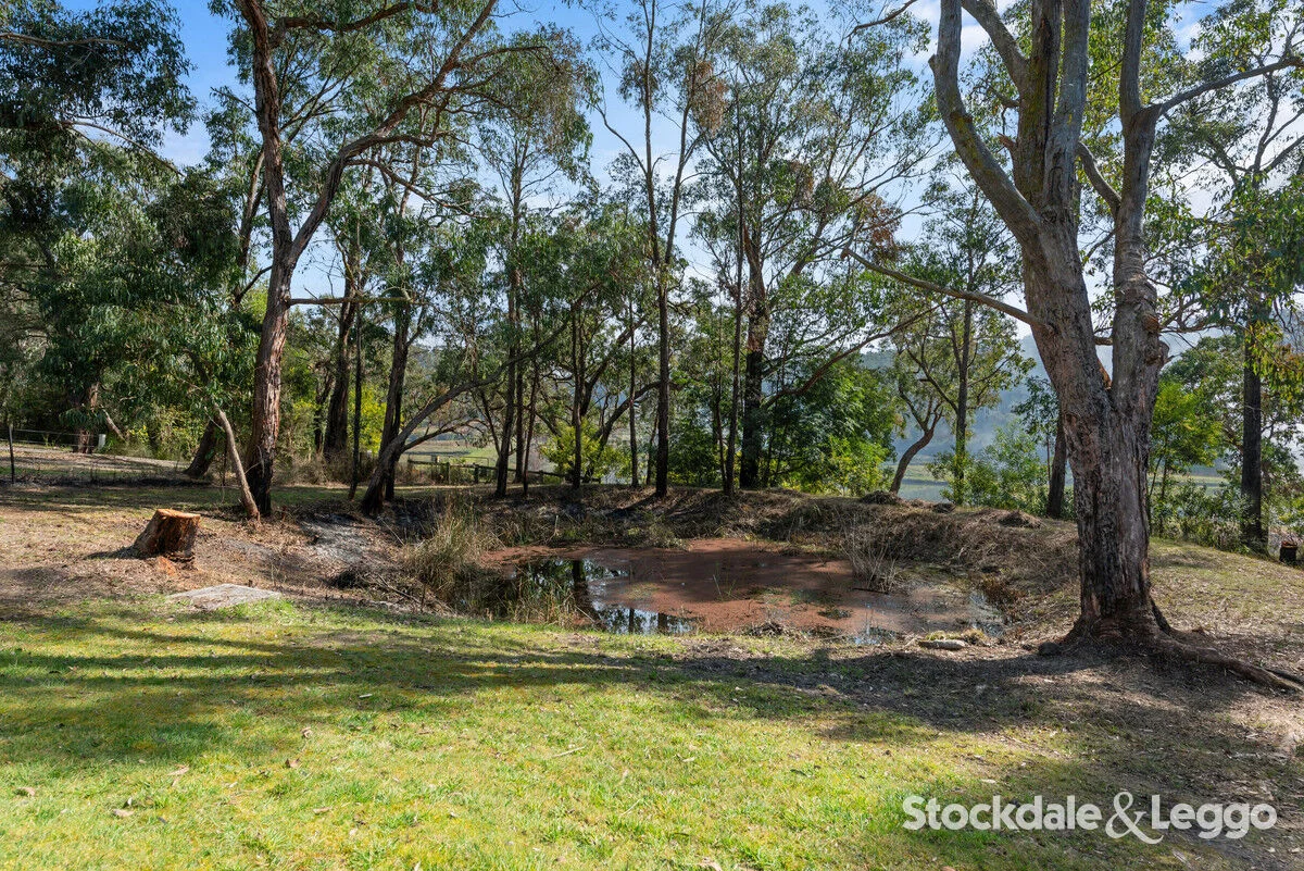 Additional image 16 of 55 MacIntoshs Road, Boolarra VIC 3870