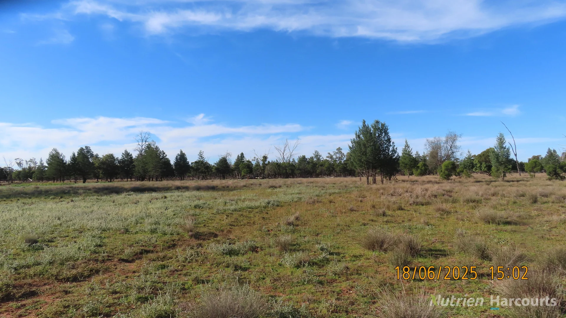 Additional image 29 of * Springvale, Walgett NSW 2832