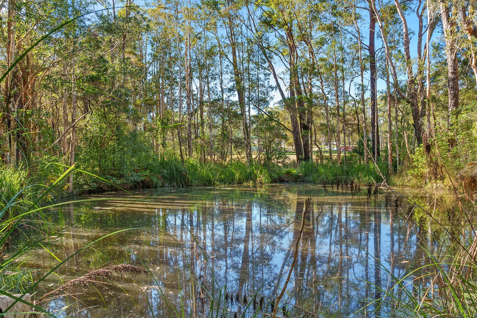 Additional image 14 of 132-144 Ocean Drive, Kew NSW 2439