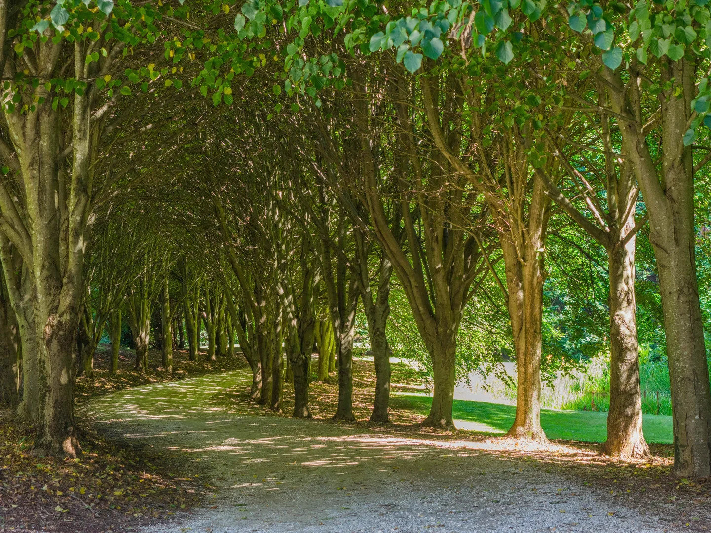 Additional image 4 of 225 Wildes Meadow Road, Wildes Meadow NSW 2577