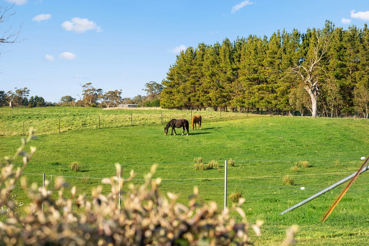 Additional image 22 of 525 Gorham Road, Crookwell NSW 2583